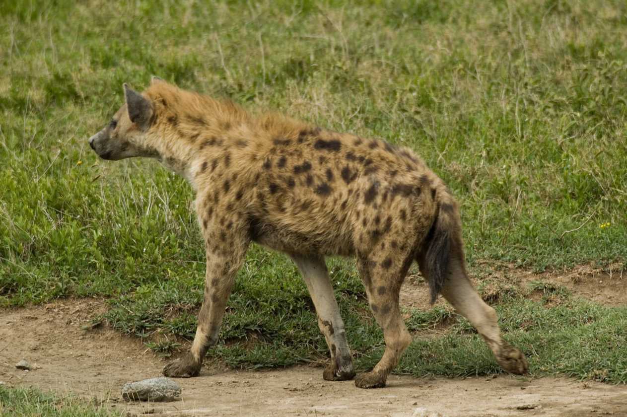 05-tanzania-82