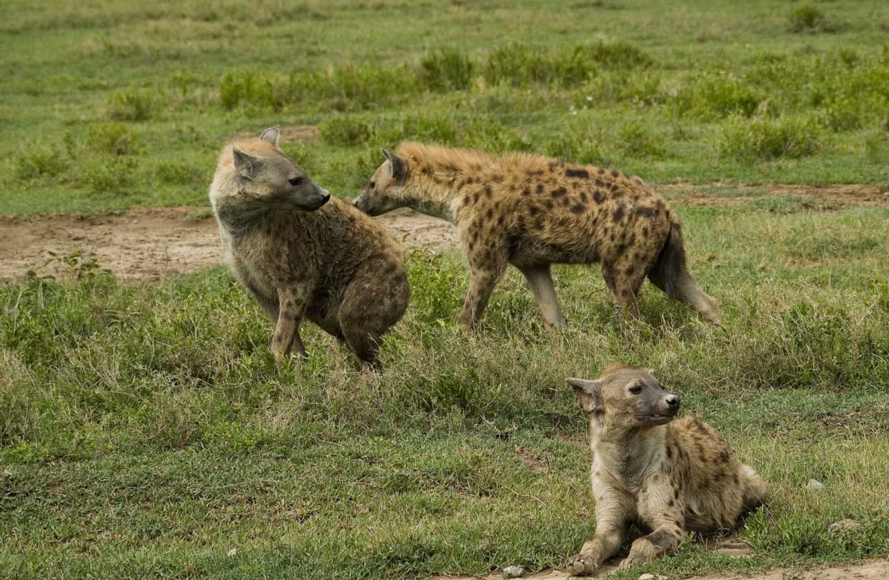 05-tanzania-83