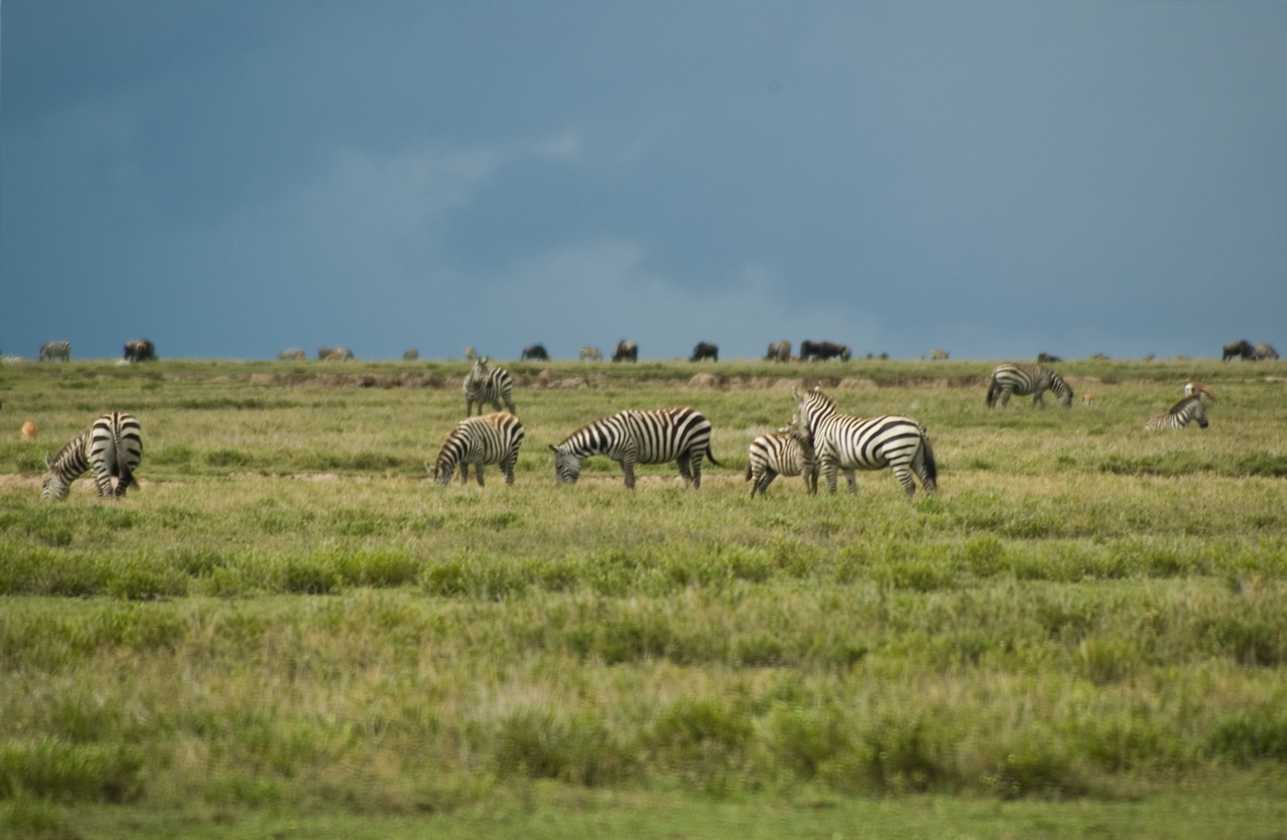 05-tanzania-84