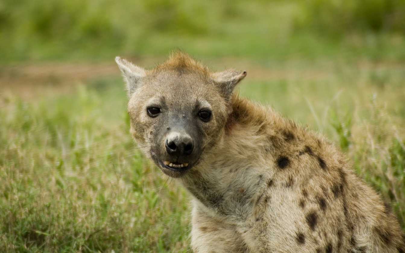 05-tanzania-86