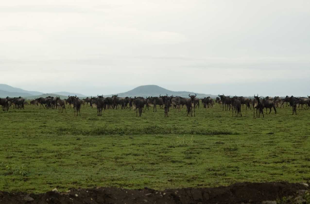 05-tanzania-88