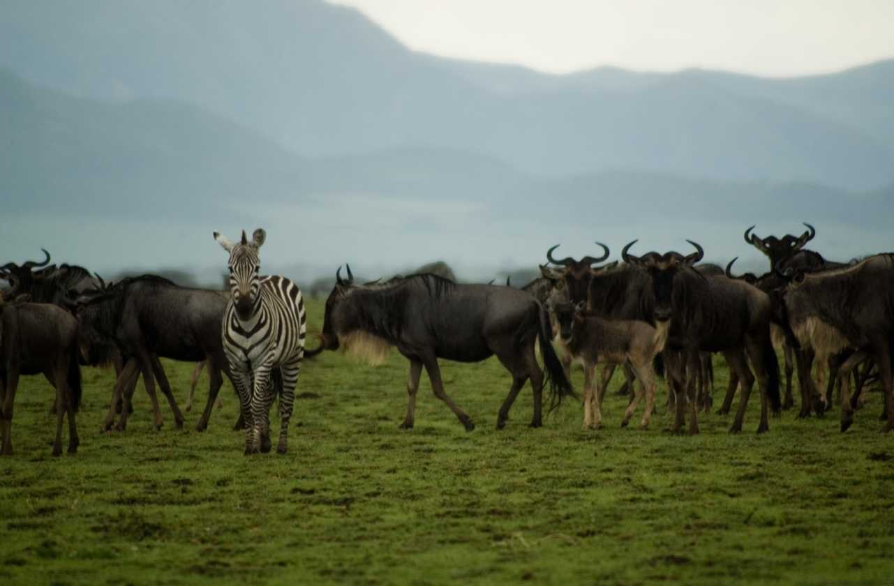 05-tanzania-89