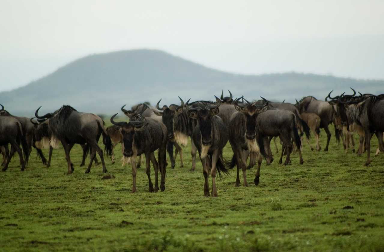 05-tanzania-90