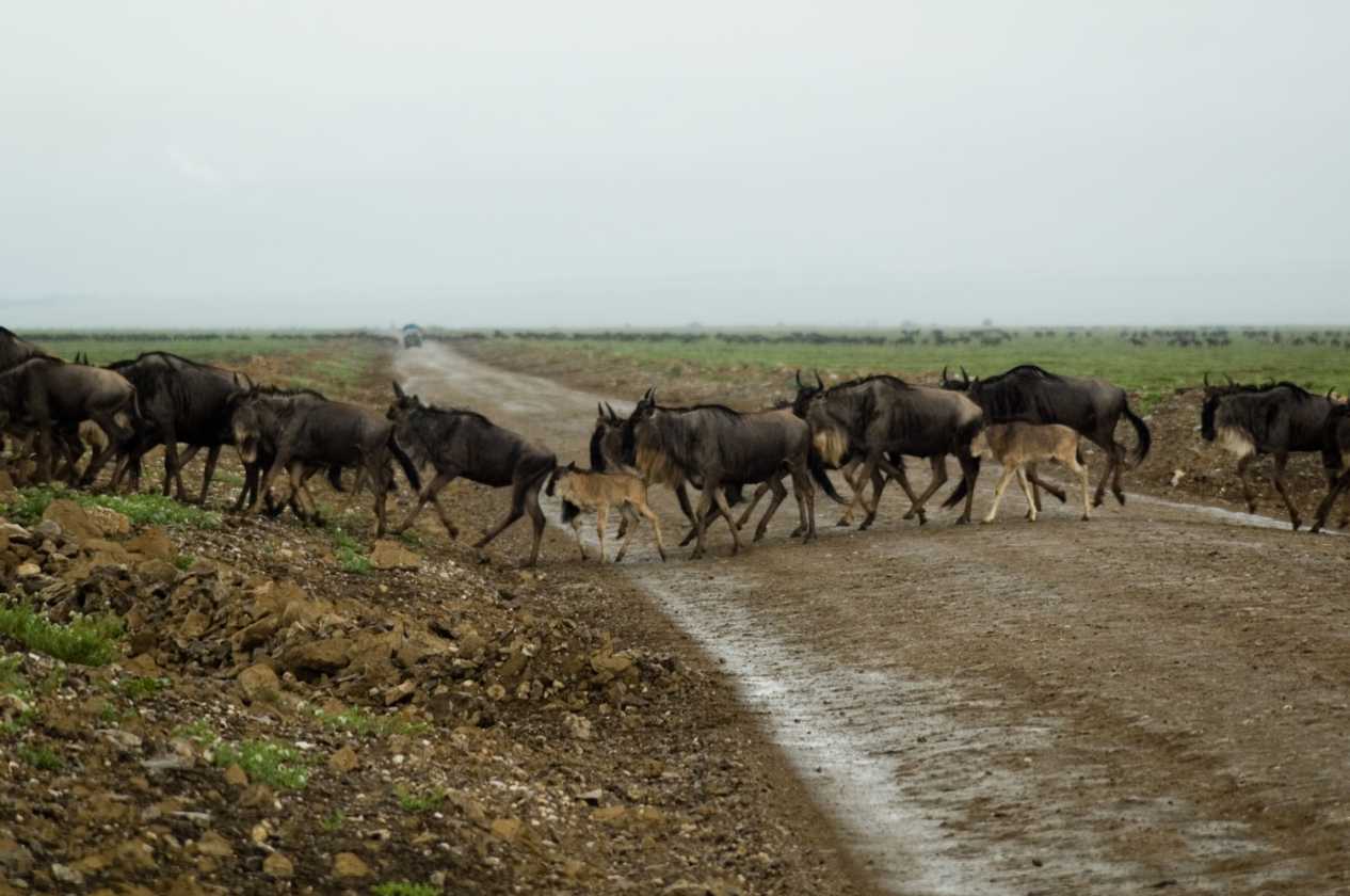05-tanzania-93