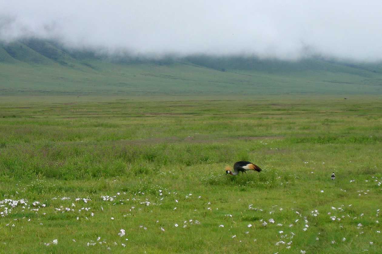 06-tanzania-06