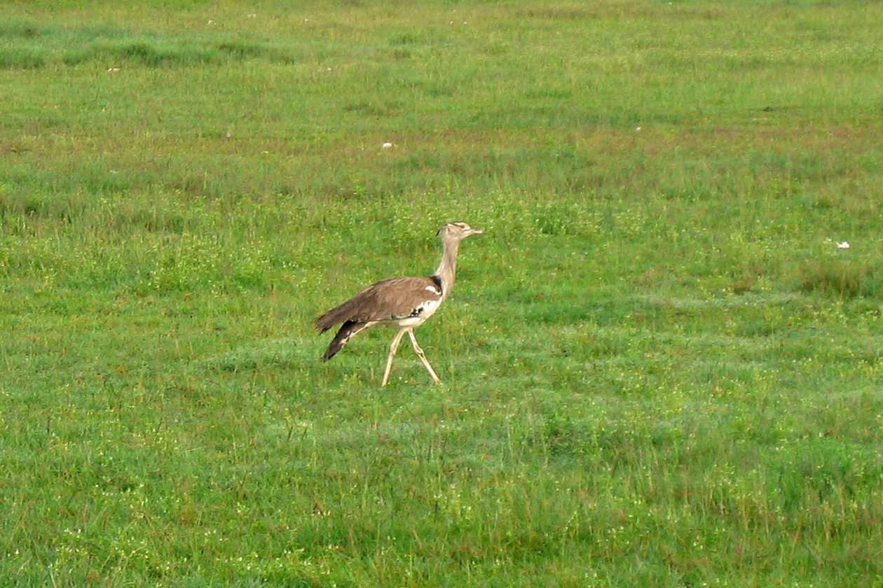 06-tanzania-07