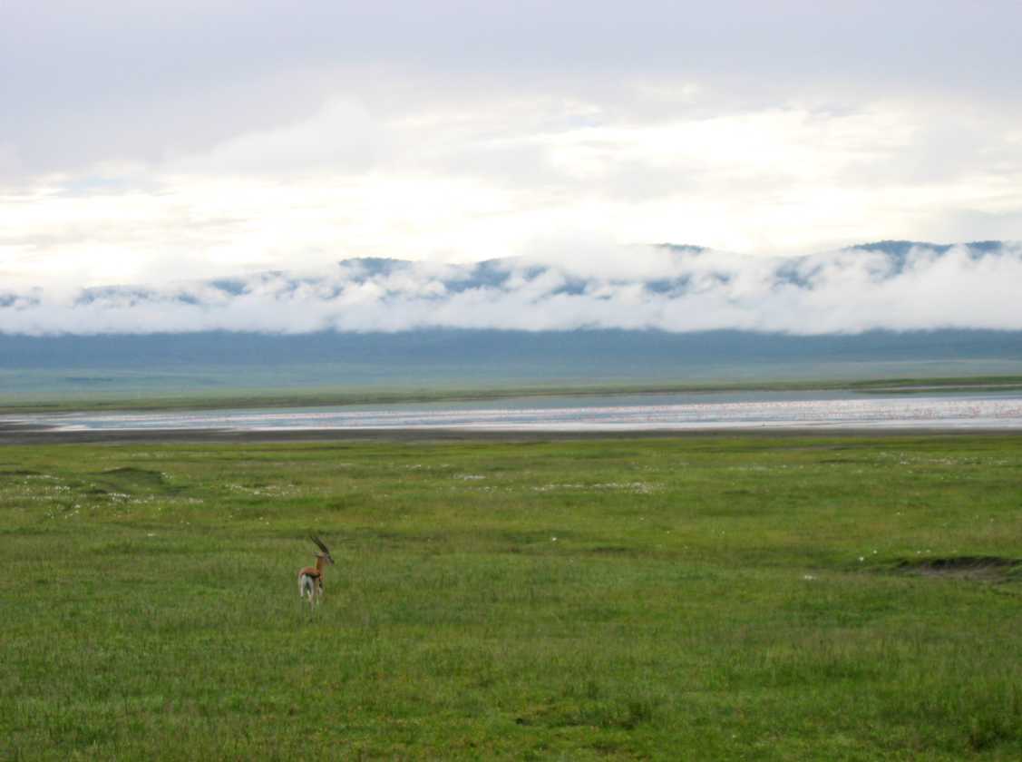 06-tanzania-08