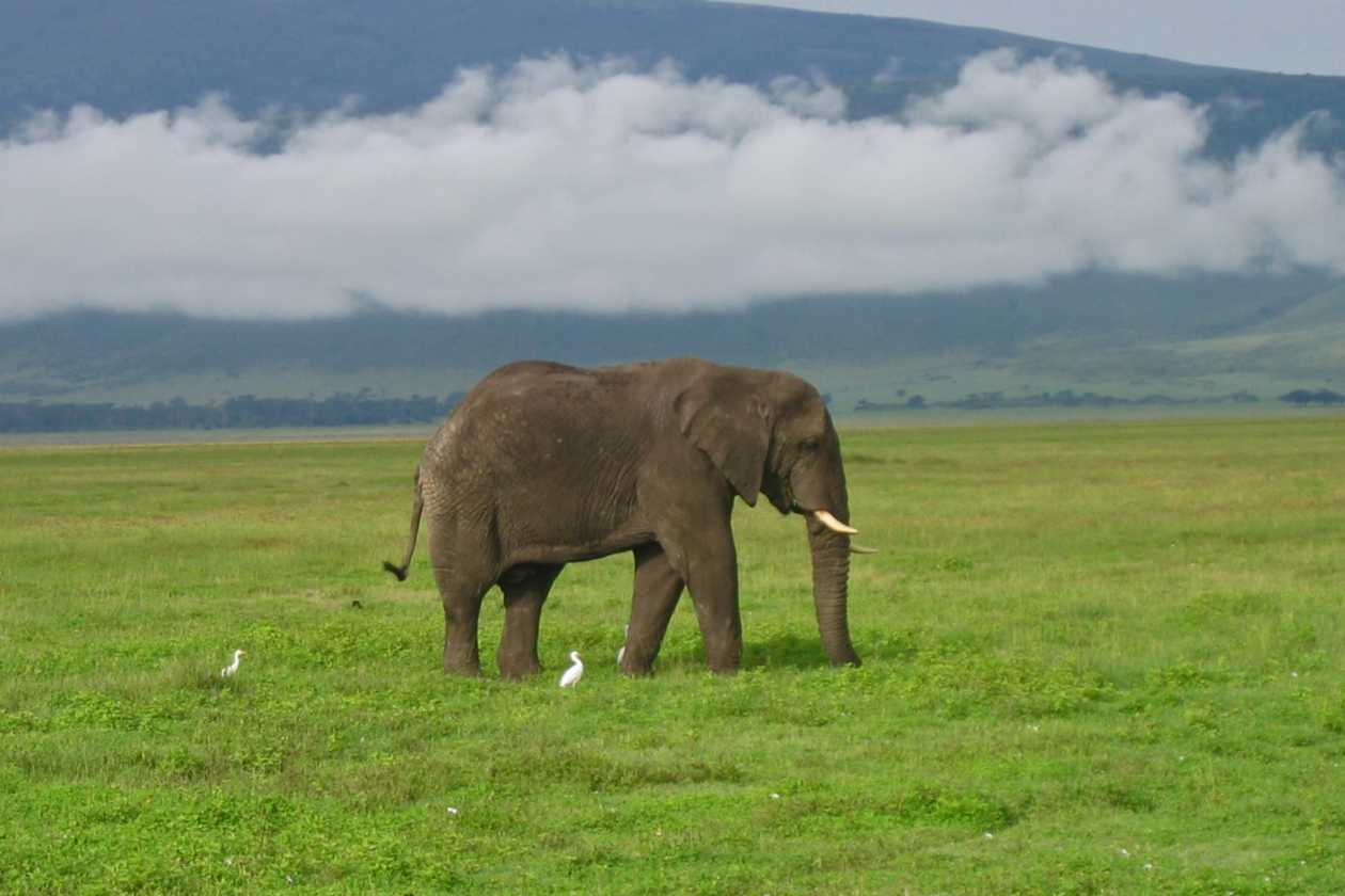 06-tanzania-13