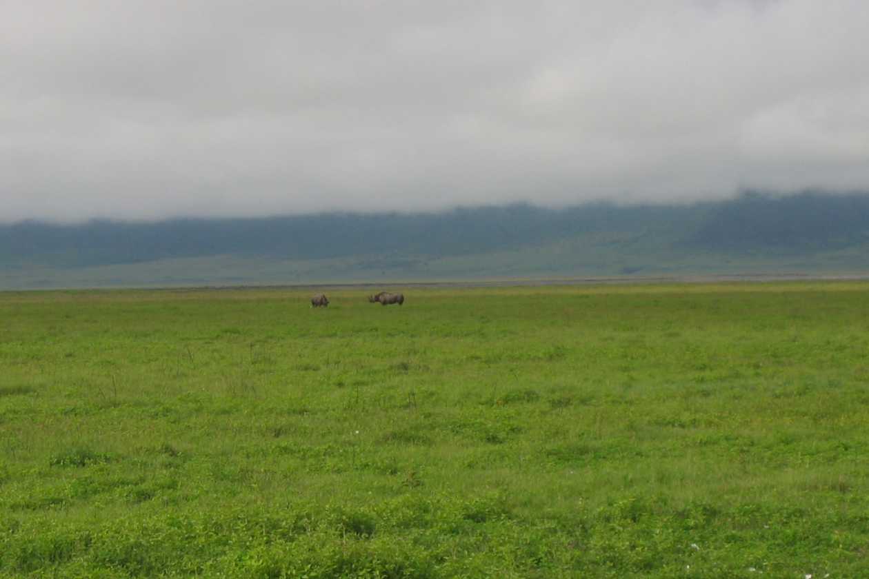 06-tanzania-14