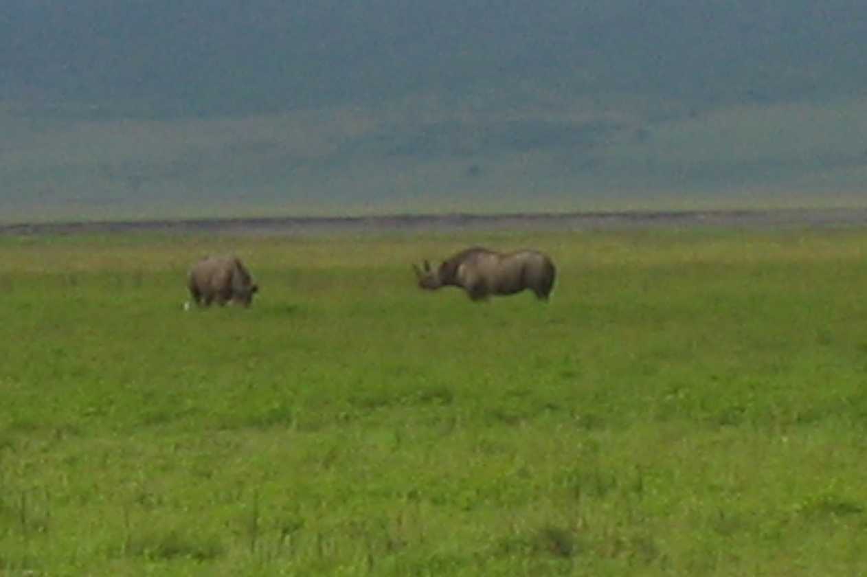 06-tanzania-15