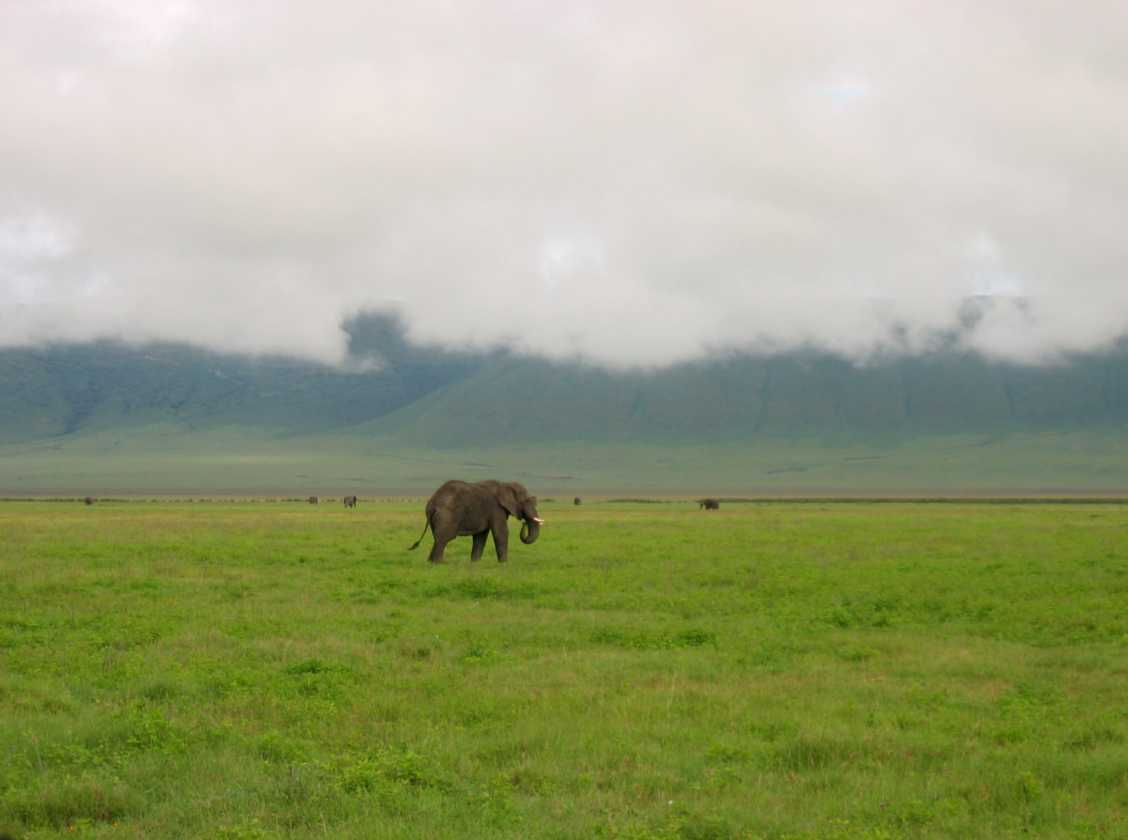06-tanzania-16