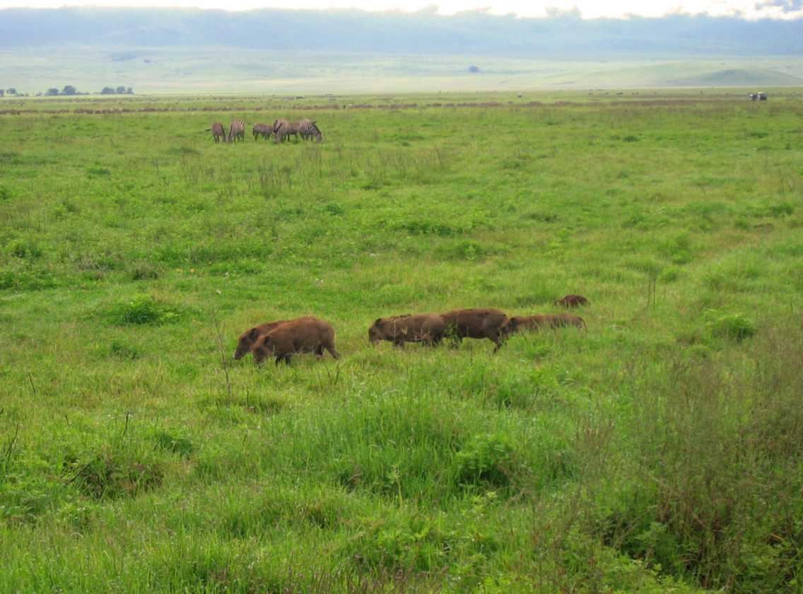 06-tanzania-17