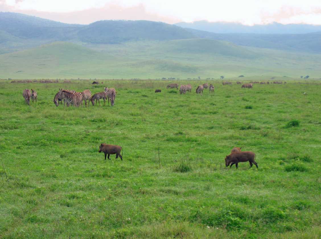 06-tanzania-19