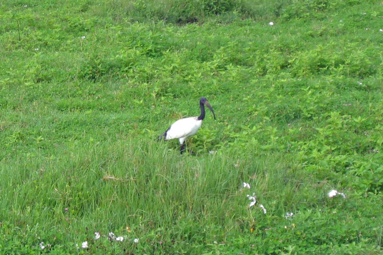 06-tanzania-20