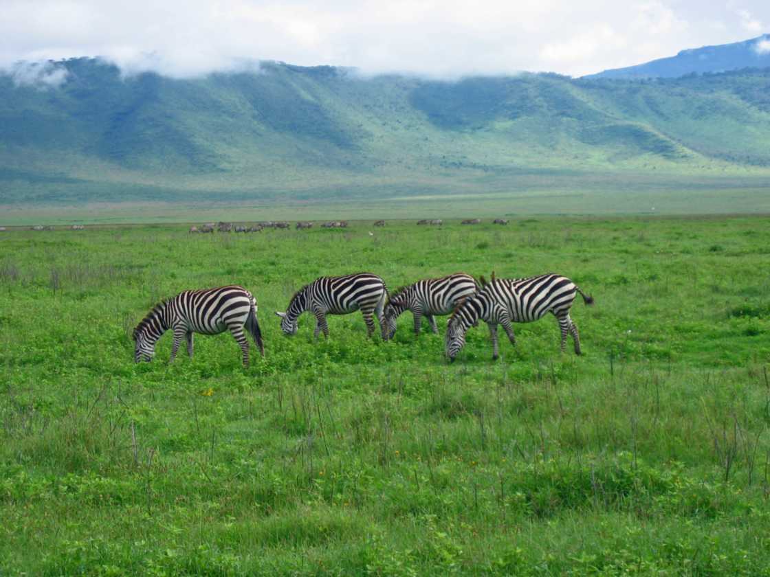 06-tanzania-21