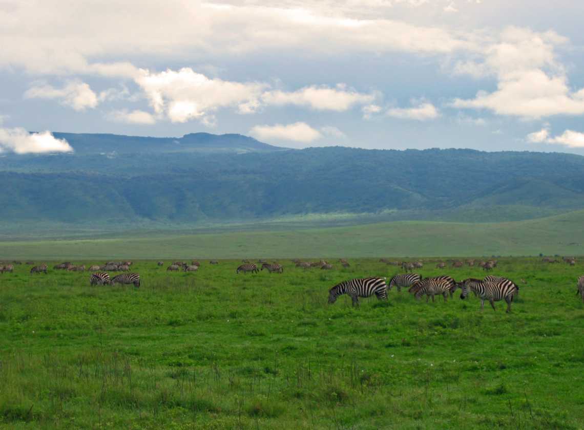 06-tanzania-22