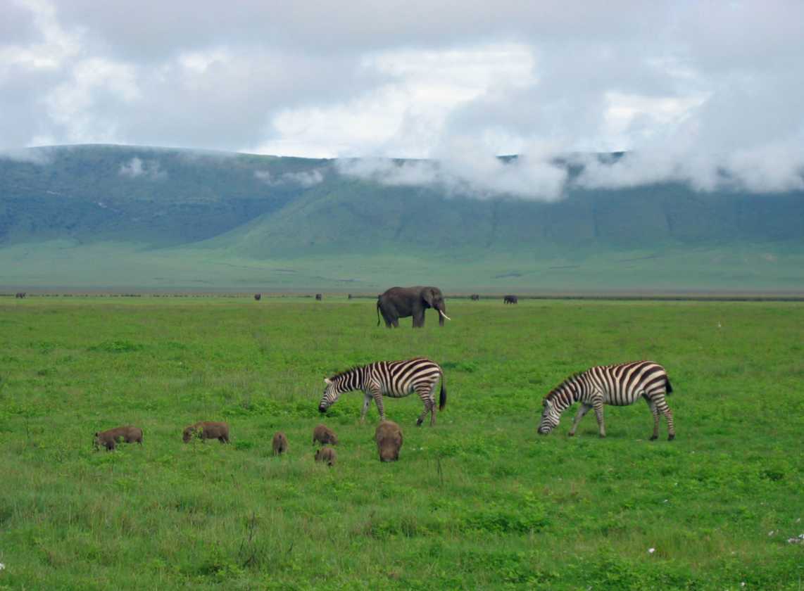 06-tanzania-23