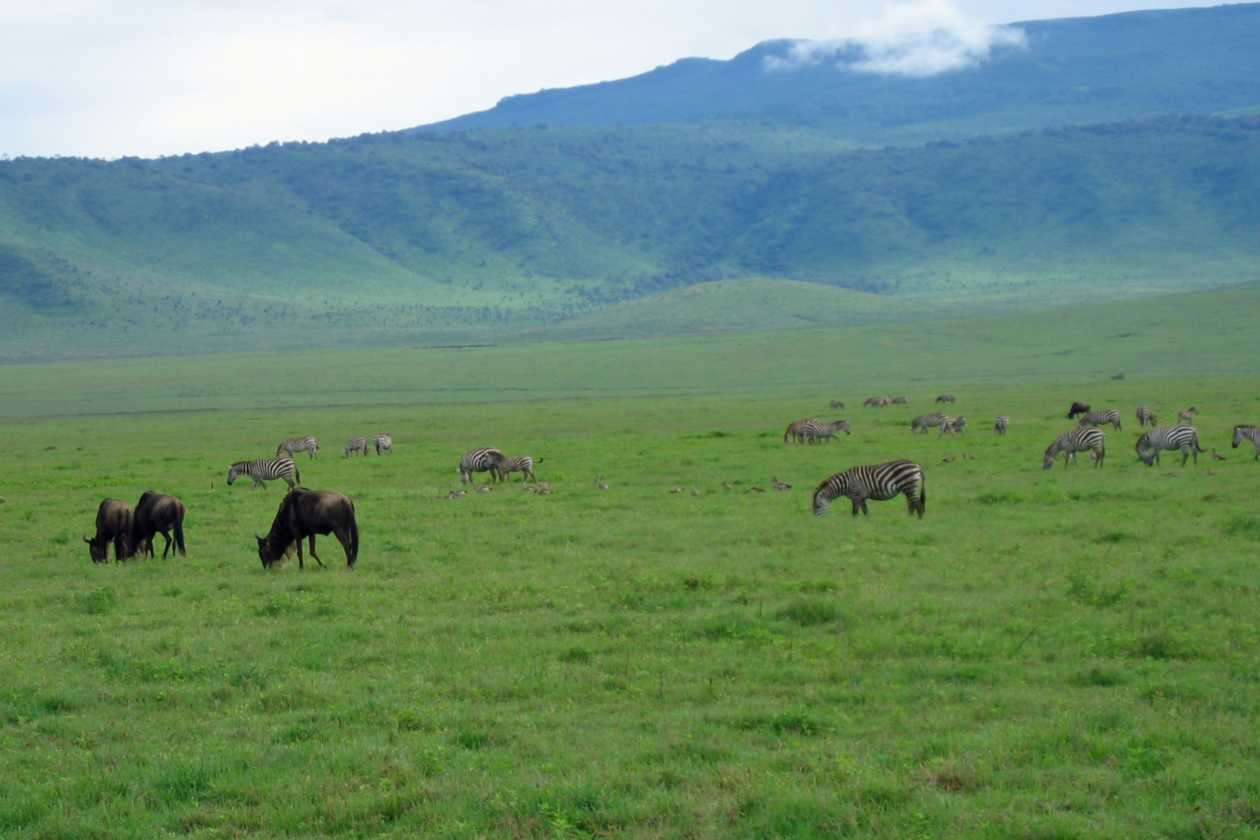 06-tanzania-24
