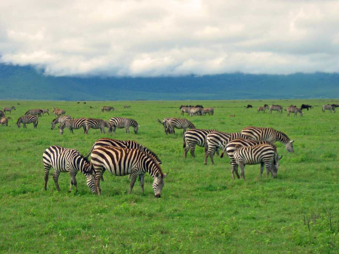 06-tanzania-25