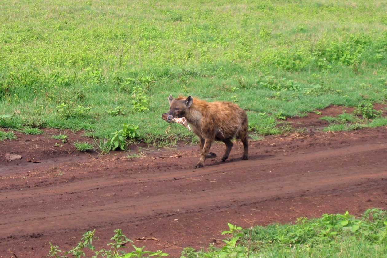 06-tanzania-26