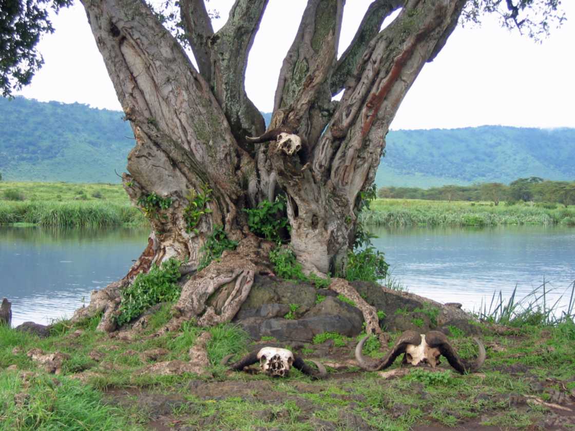 06-tanzania-28