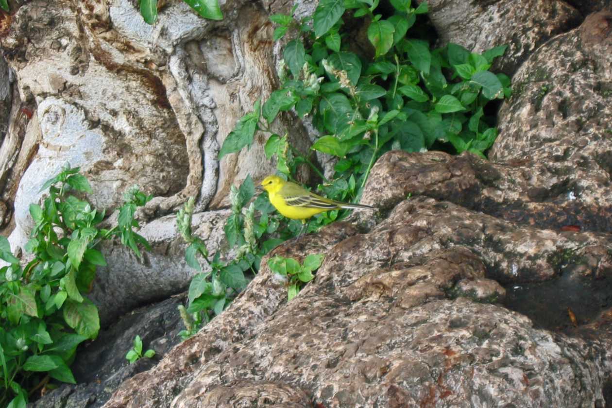 06-tanzania-30