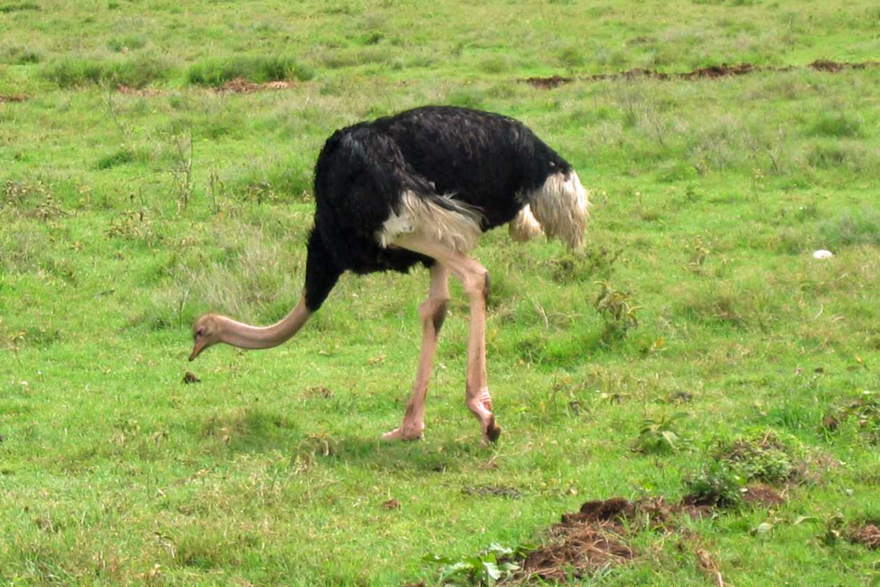 06-tanzania-32