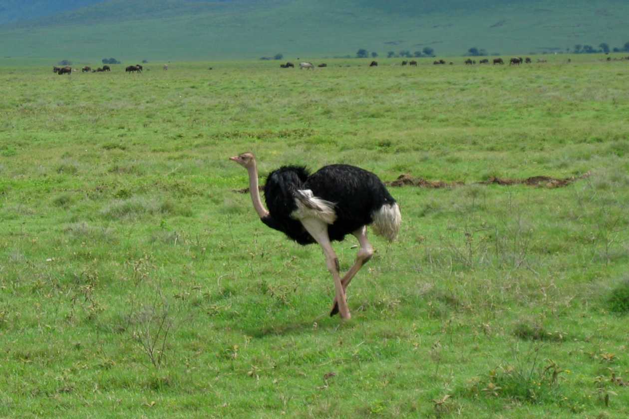 06-tanzania-33
