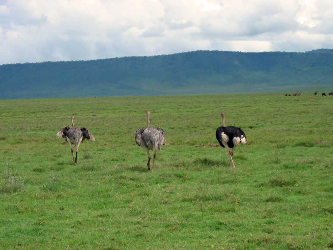 06-tanzania-34