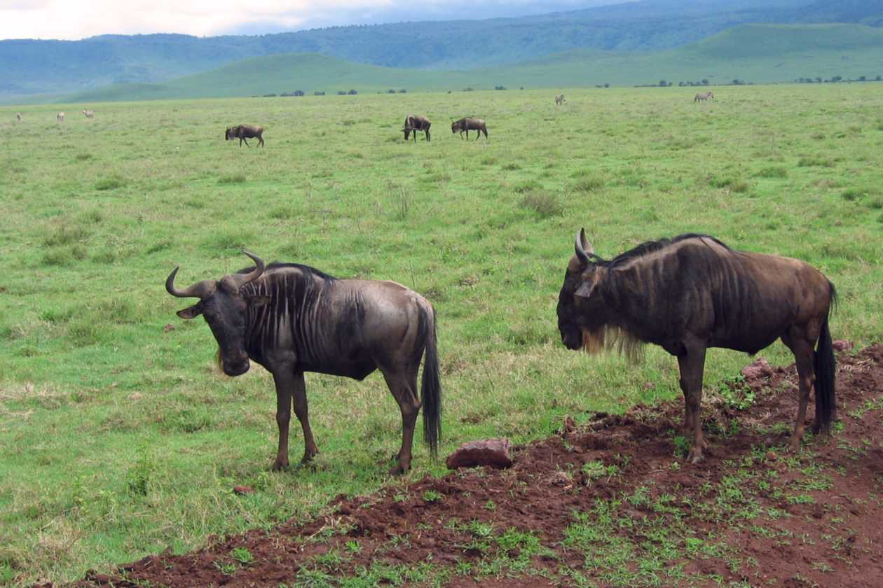 06-tanzania-35