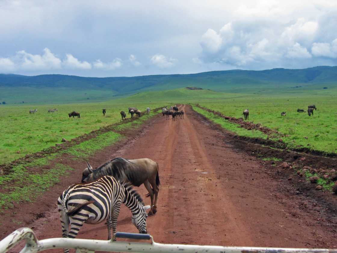 06-tanzania-37