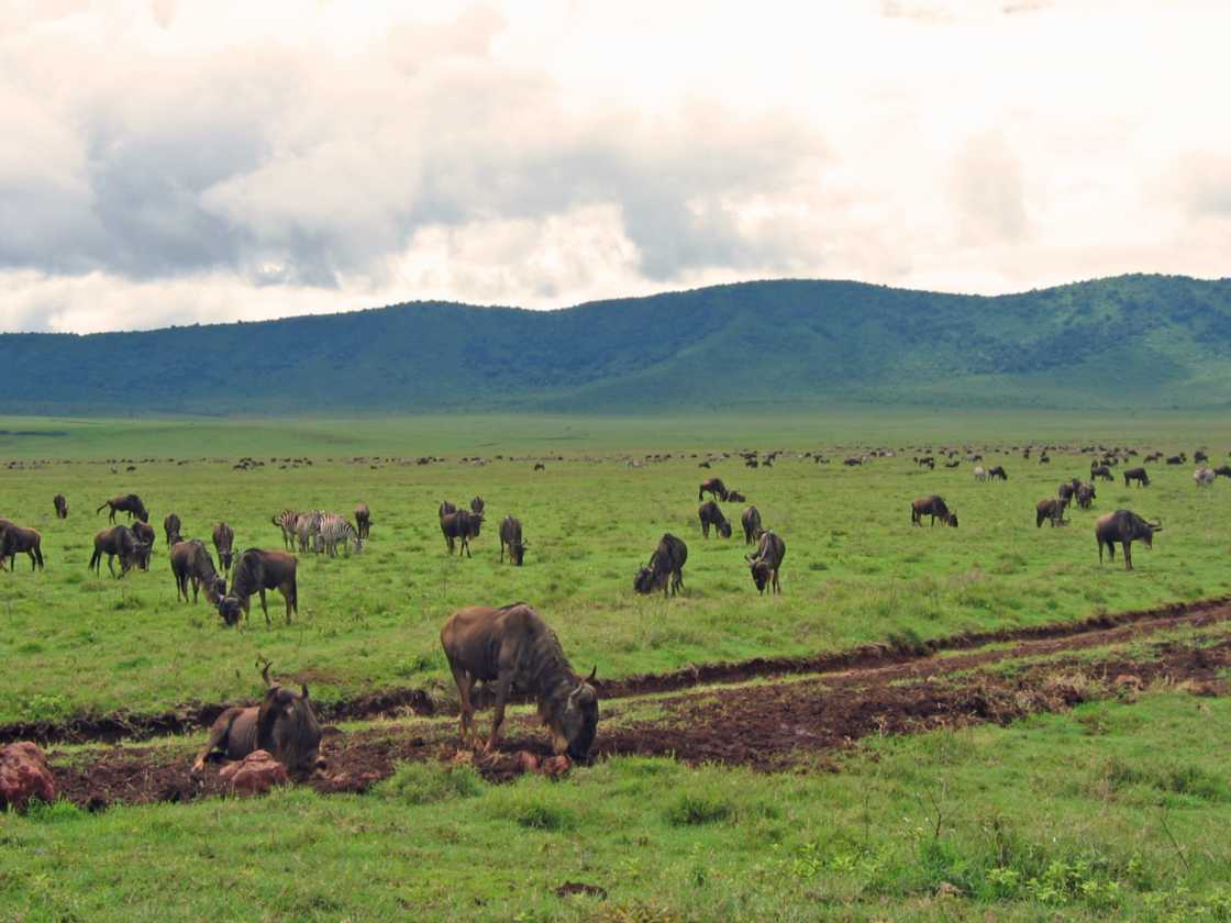 06-tanzania-38