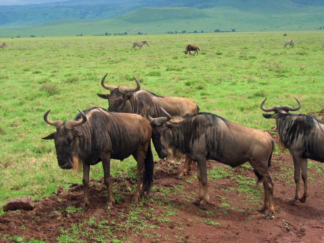06-tanzania-39