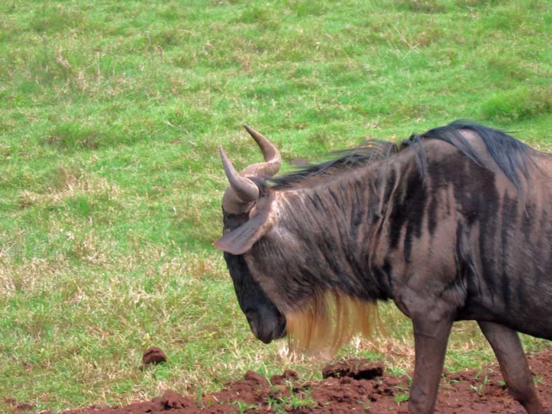 06-tanzania-40