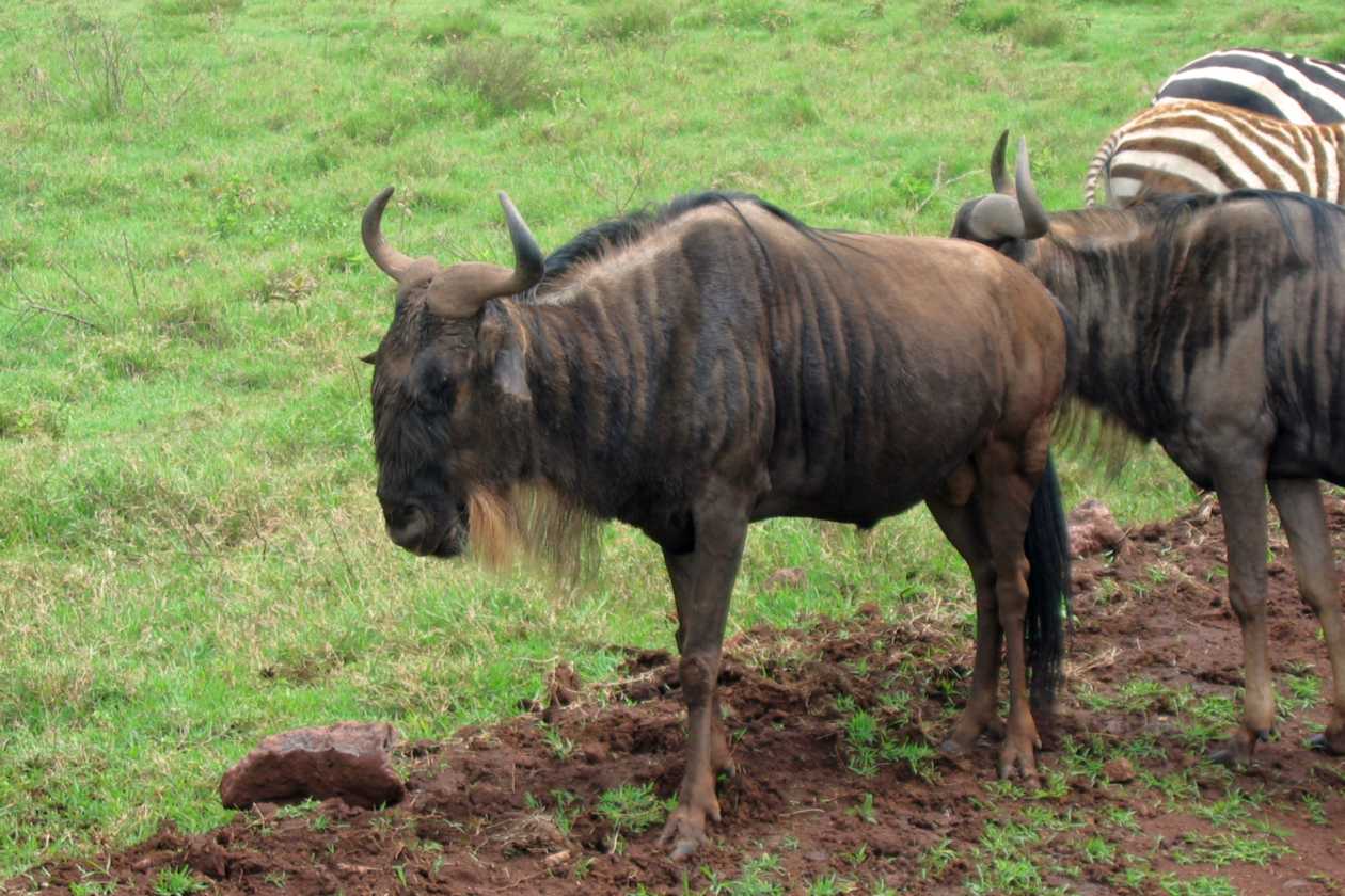06-tanzania-42