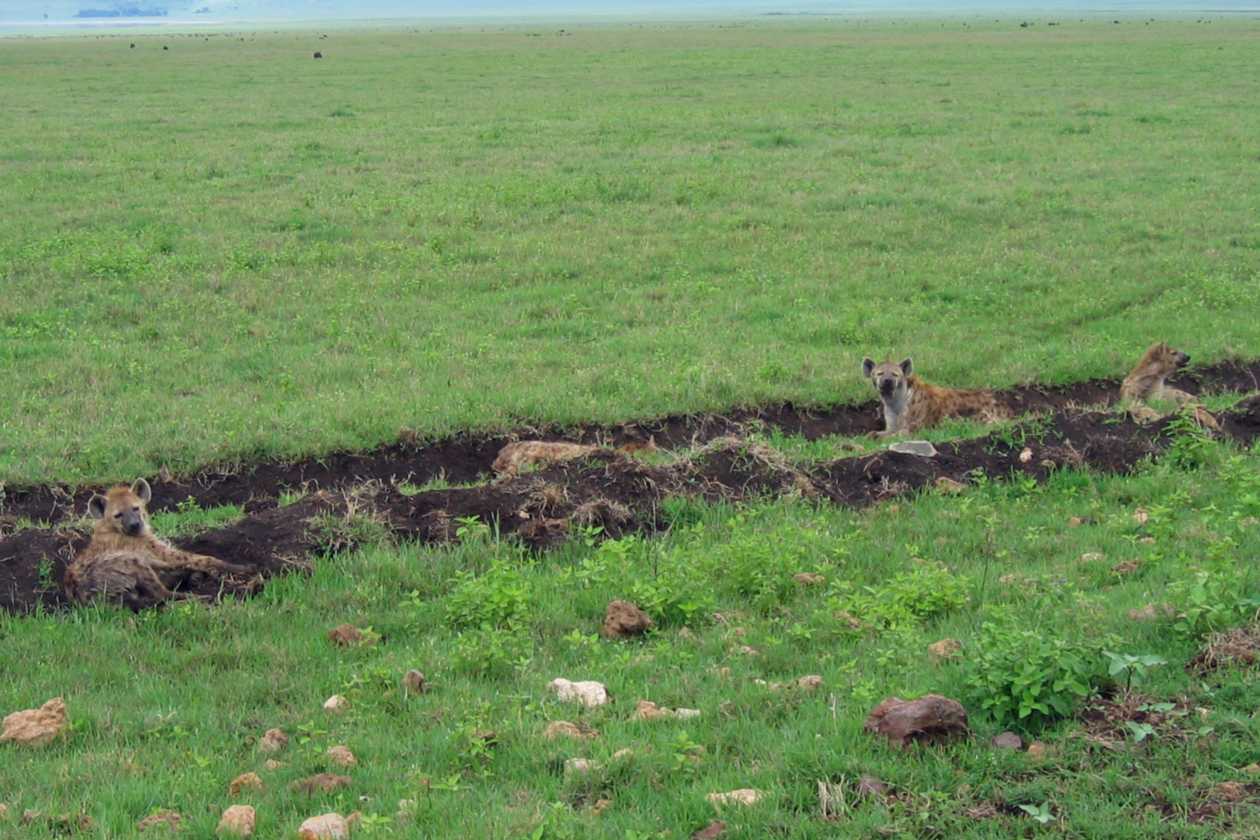 06-tanzania-44