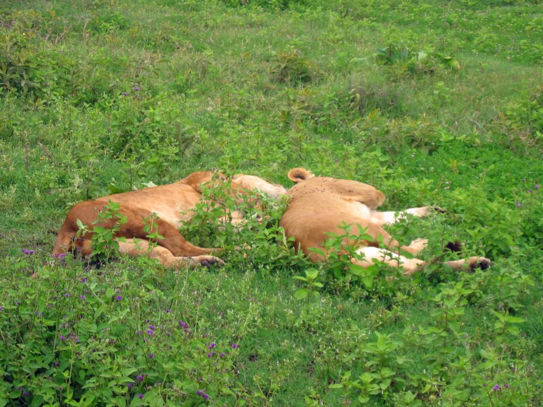 06-tanzania-45