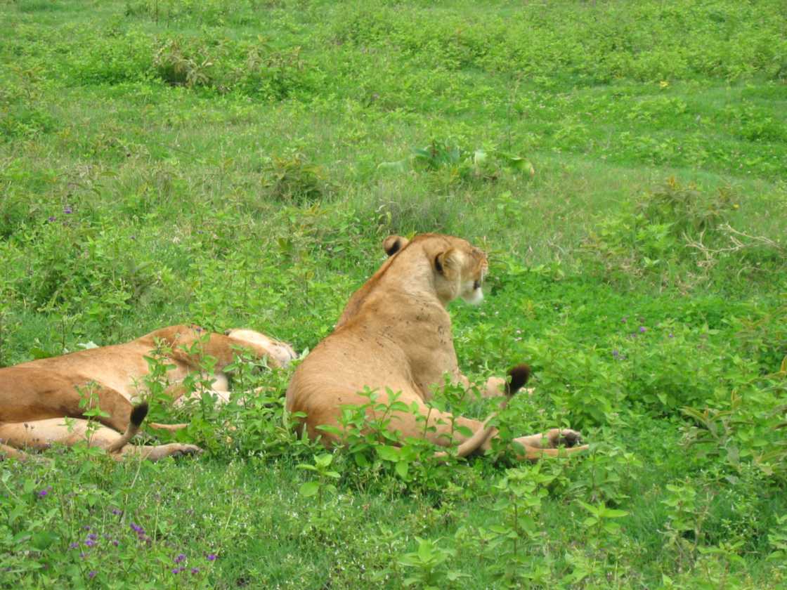 06-tanzania-46