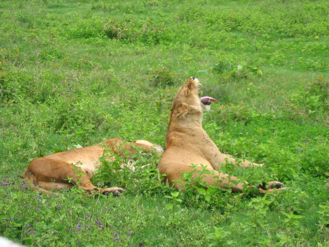 06-tanzania-47