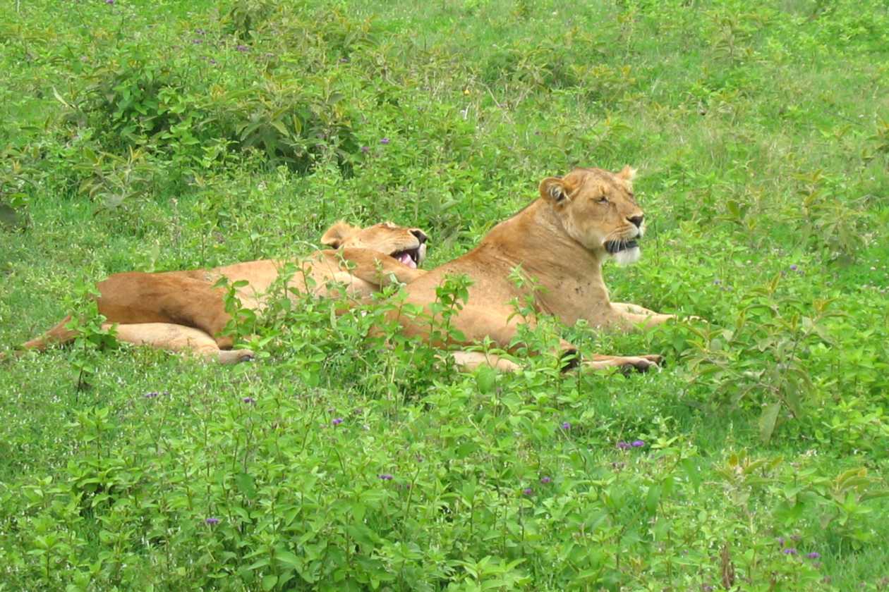 06-tanzania-49