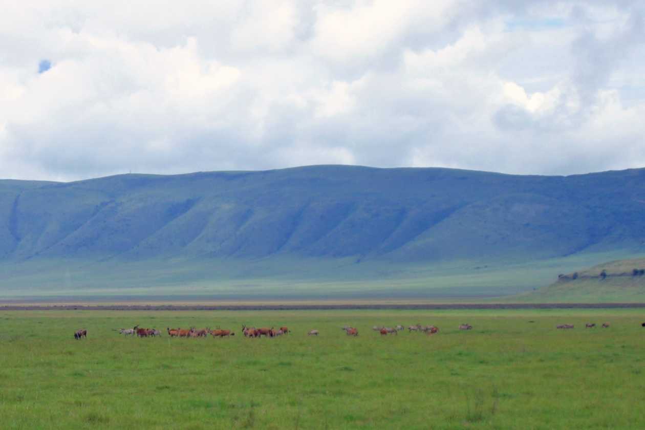 06-tanzania-50