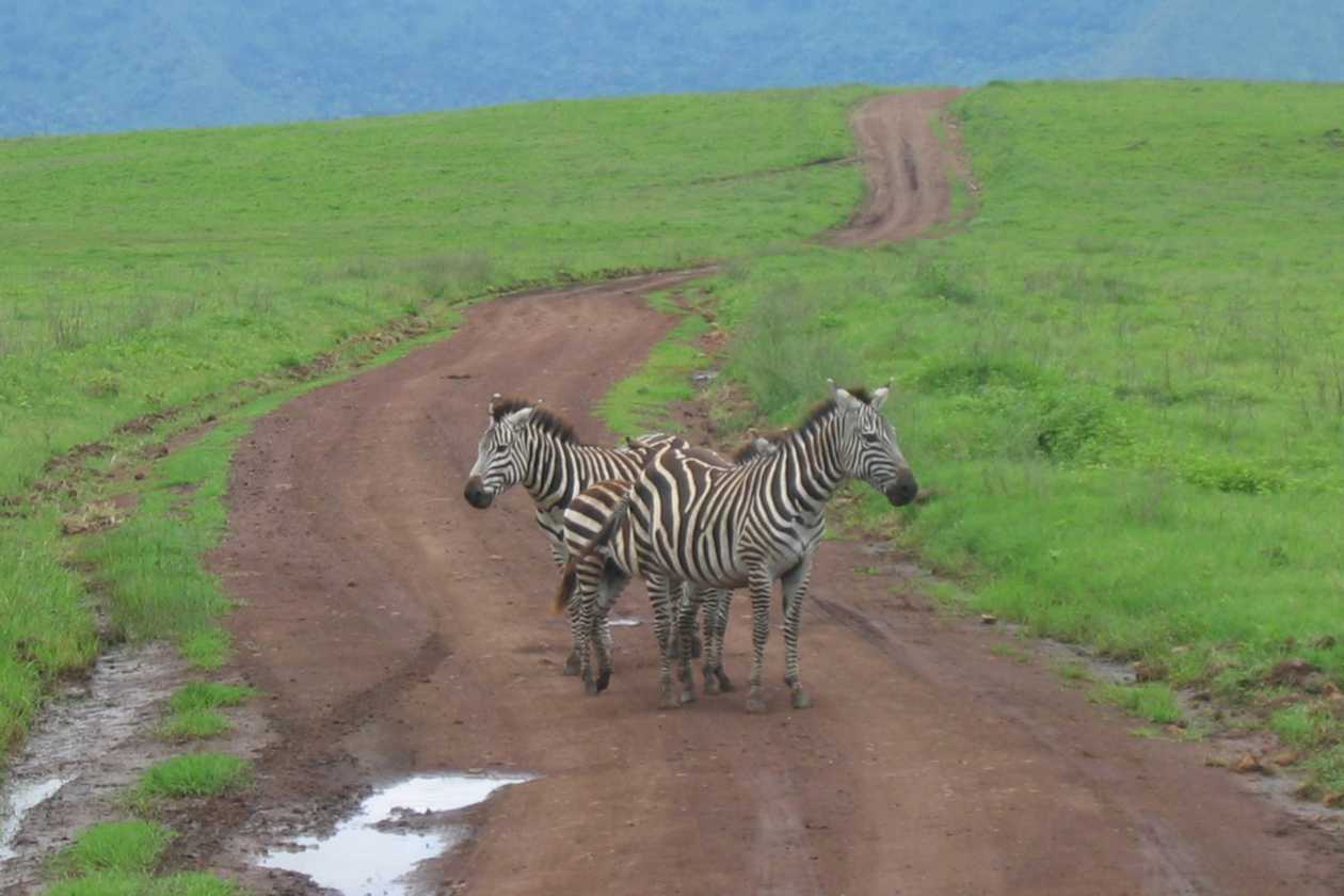 06-tanzania-51