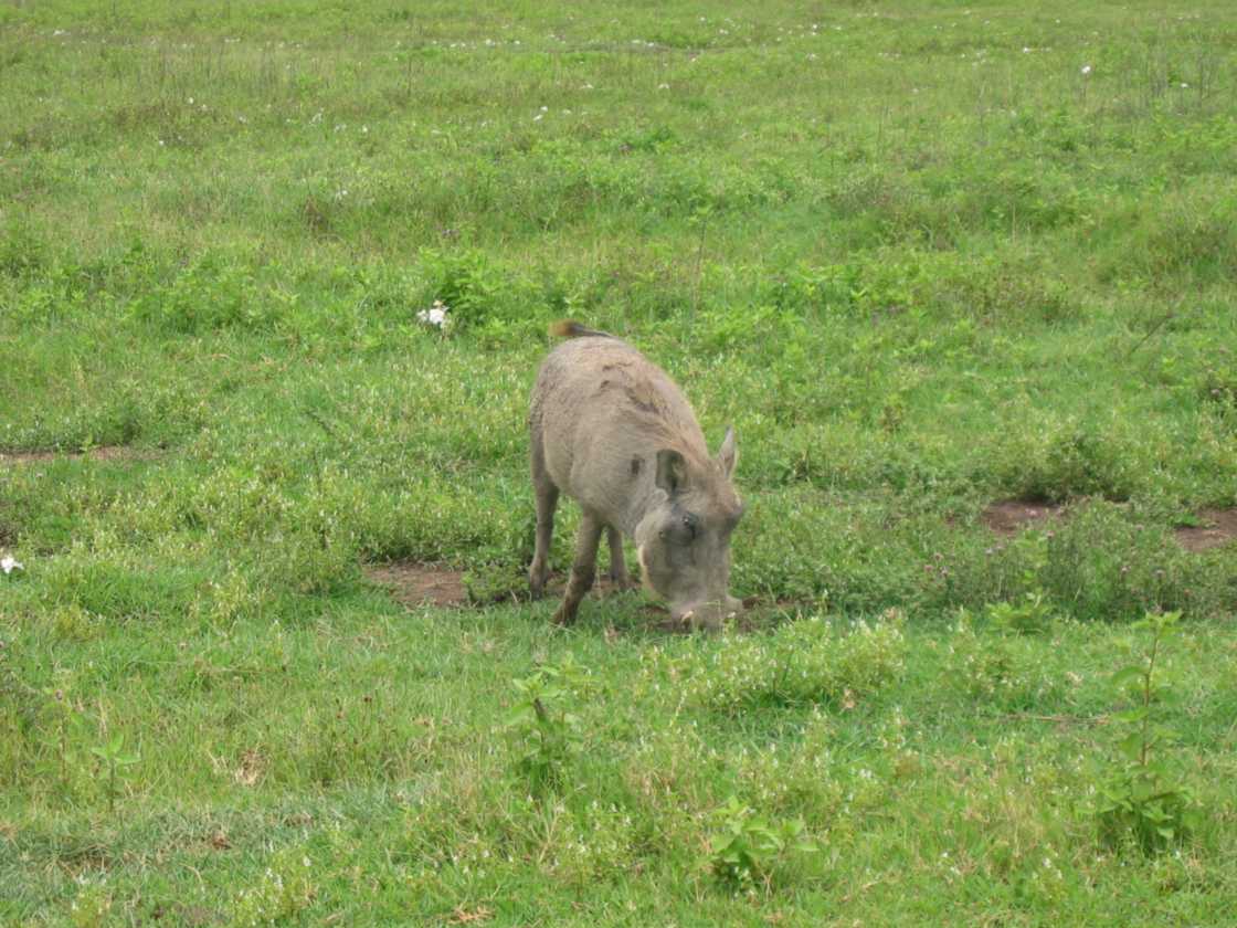 06-tanzania-52