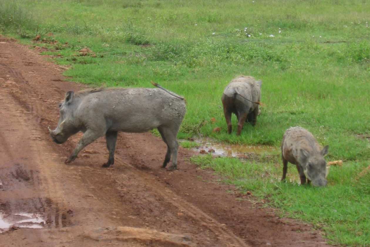 06-tanzania-54