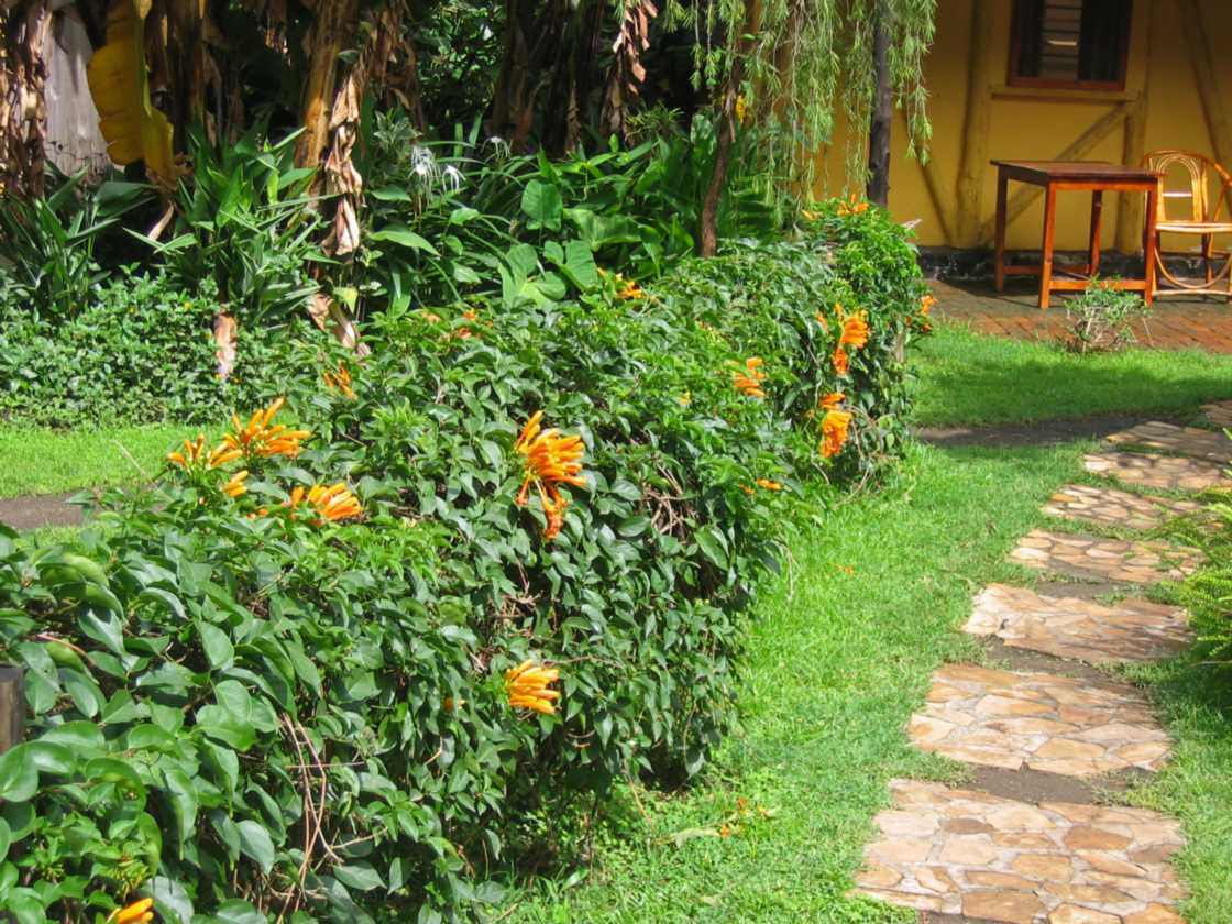 07-tanzania-02