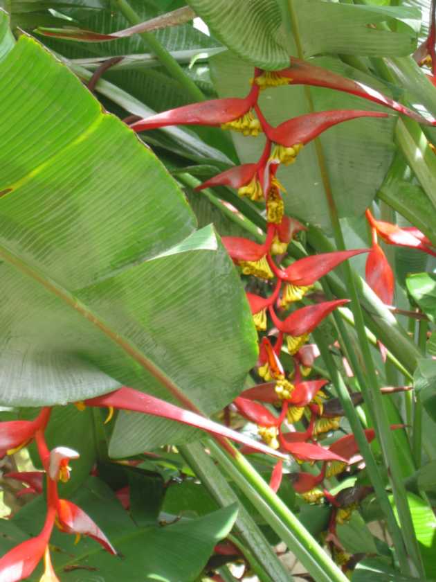 07-tanzania-04