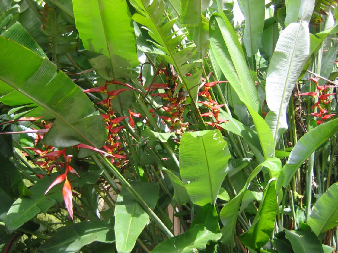 07-tanzania-05