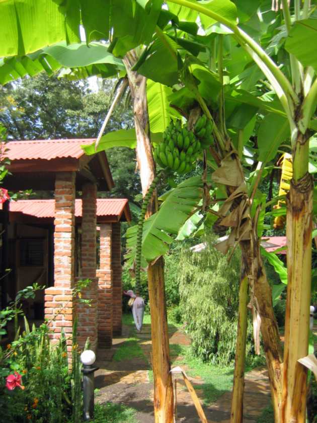 07-tanzania-06