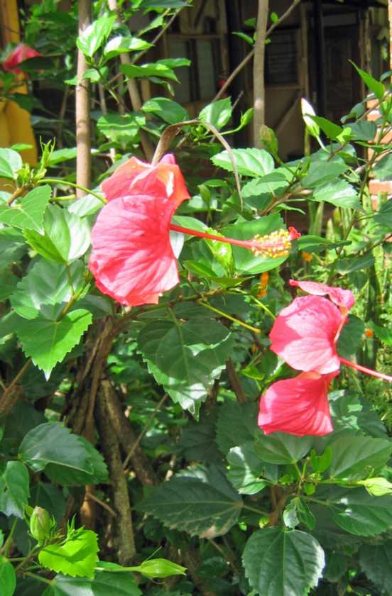 07-tanzania-08