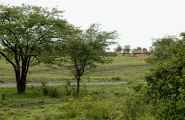 01-tanzania-22